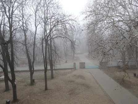 霧の校庭