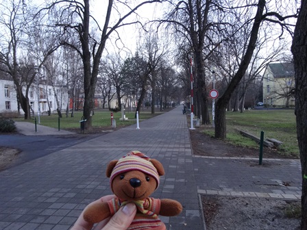 12月27日　並木道