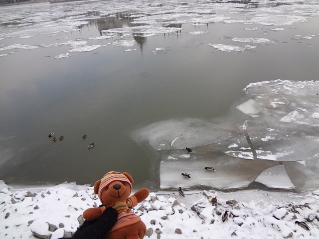ドナウ川の氷