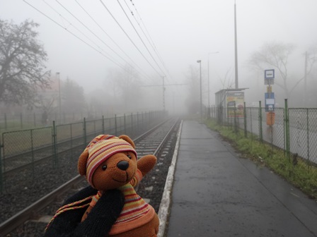 2014年1月濃霧