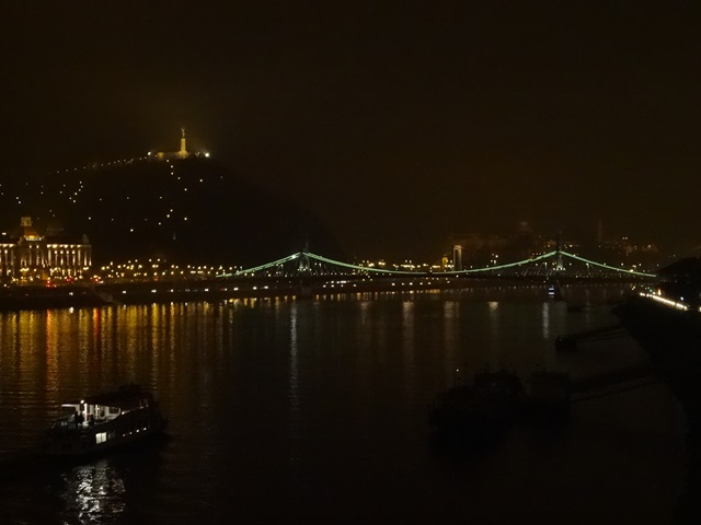 ドナウ川夜景　自由橋