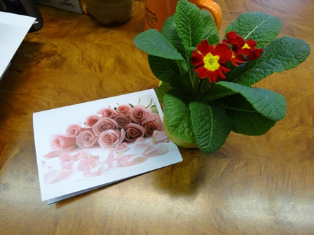 2014年のお花とカード