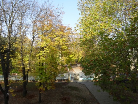 11月3日フニャ高校門