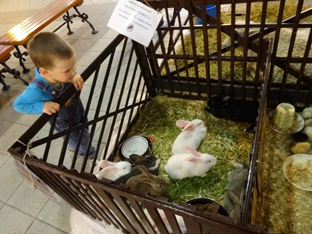 ウサギと子ども
