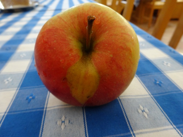 りんご１