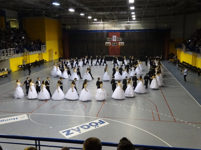 2015サラガヴァトーGIF