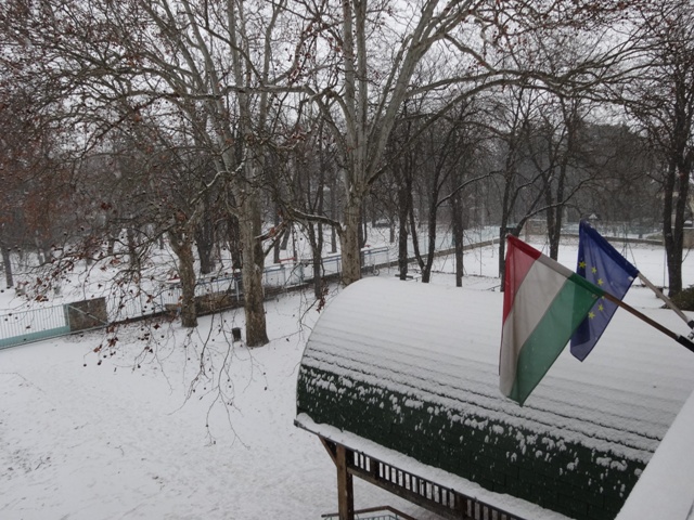 積雪