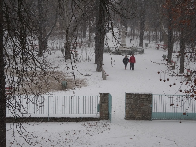 雪