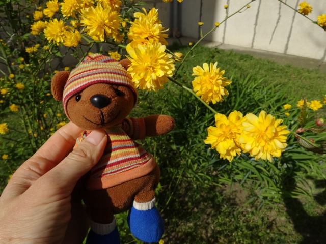 花とシャインくん4