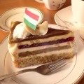 2016年ハンガリー国のケーキ