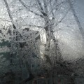 窓霜