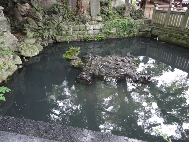 成田山の池