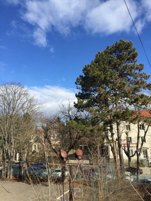 青空