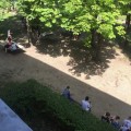 マロニエの向こう側