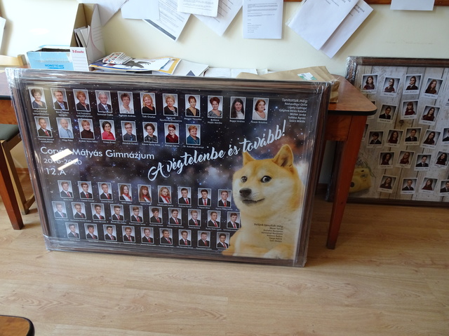 柴犬？