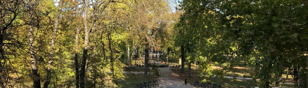 2020年10月20日(火)校庭