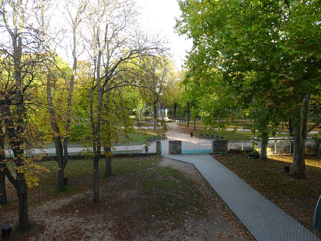 2020年10月21日(水)校庭