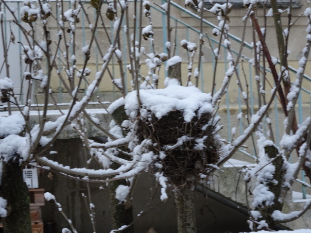 積もった雪