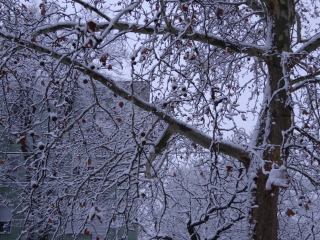 雪景色