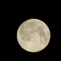 満月