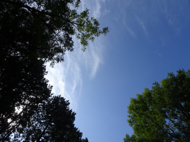 青空