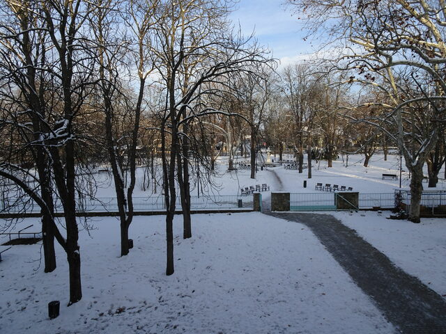 雪の校庭