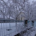 雪景色